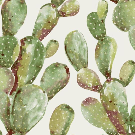 Prickly Pear Cactus Peel & Stick Wallpaper-Exeter Paint Stores
