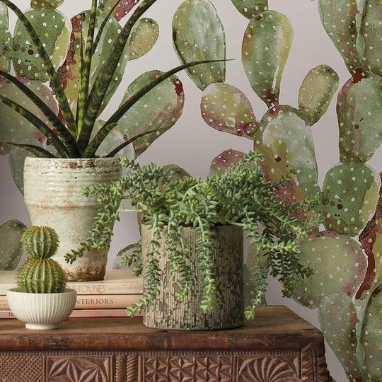 Prickly Pear Cactus Peel & Stick Wallpaper-Exeter Paint Stores