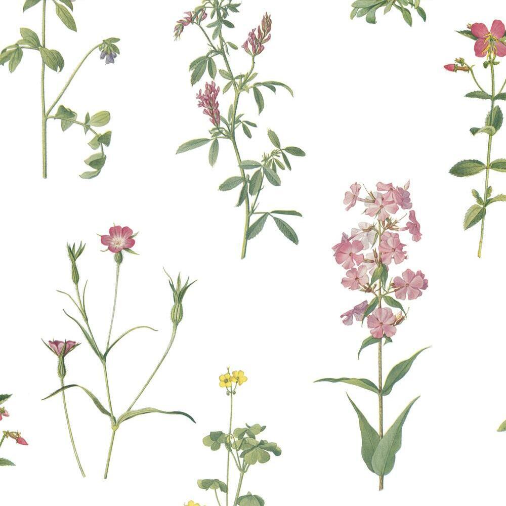 Botanical Print Peel and Stick Wallpaper-Exeter Paint Stores