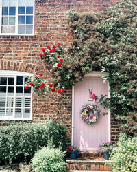 Farrow & Ball Cinder Rose NO.246 🚚 Free Shipping!