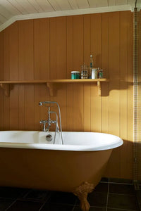 Farrow & Ball India Yellow NO.66 🚚 Free Shipping!