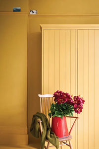 Farrow & Ball India Yellow NO.66 🚚 Free Shipping!