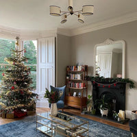 Farrow & Ball All White NO.2005 🚚 Free Shipping!