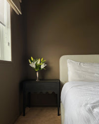 Farrow & Ball Broccoli Brown NO.198 🚚 Free Shipping! (BACK FROM ARCHIVE)