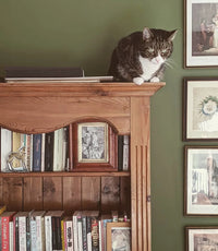 Farrow & Ball Sap Green NO.199 🚚 Free Shipping! (BACK FROM ARCHIVE)