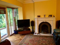 Farrow & Ball Yellow Ground NO.218 🚚 Free Shipping!