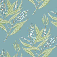 Willow Tree Winter Bud Wallpaper