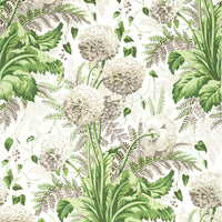 Devon Dahlia Wallpaper (Double Roll)