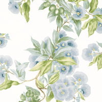 Devon Camellia Garden Wallpaper (Double Roll)