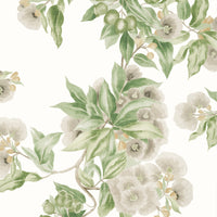Devon Camellia Garden Wallpaper (Double Roll)