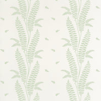 Bristol Ensbury Fern Wallpaper (Double Roll)