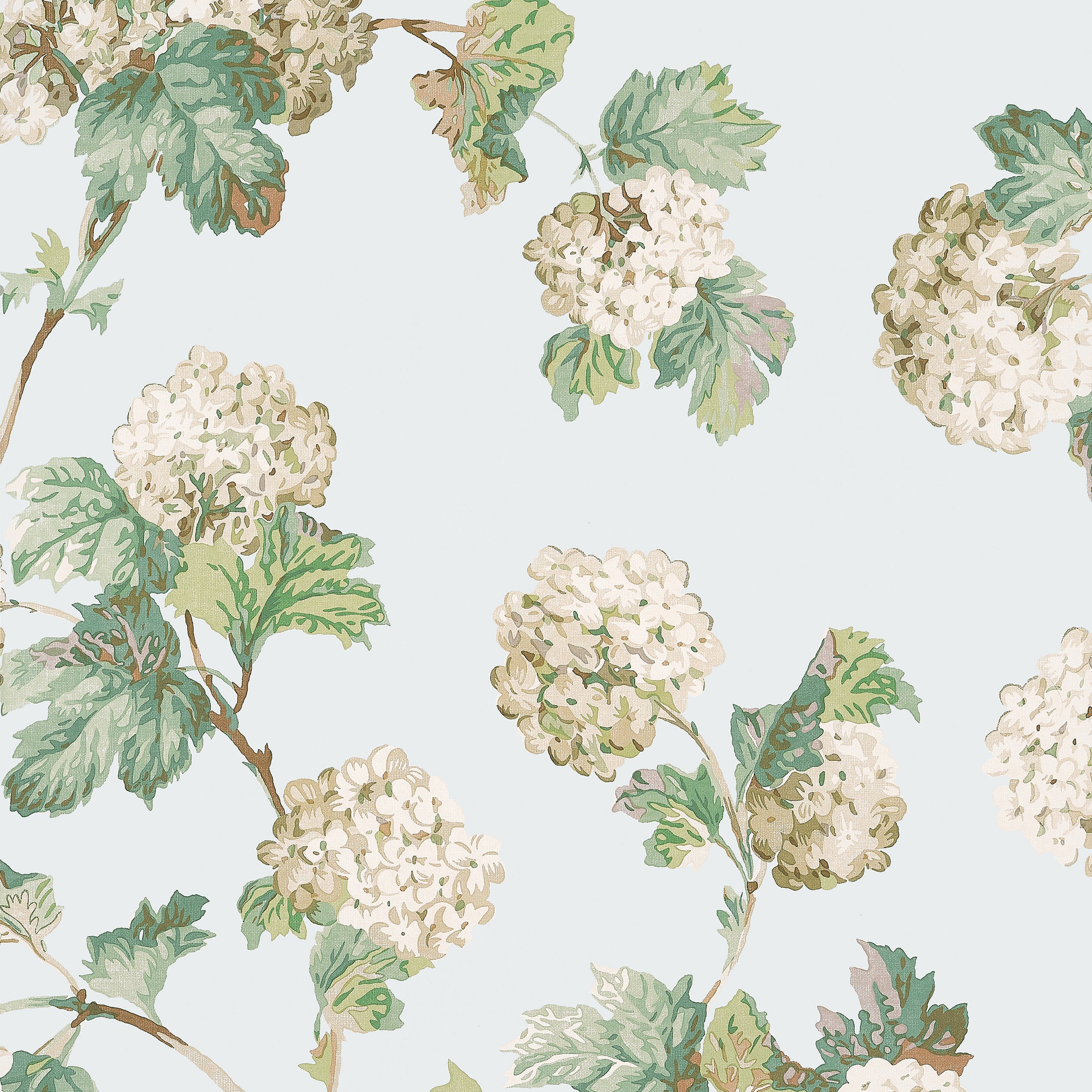 Bristol Sussex Hydrangea Wallpaper