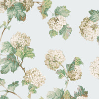 Bristol Sussex Hydrangea Wallpaper (Double Roll)