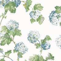 Bristol Sussex Hydrangea Wallpaper (Double Roll)