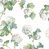 Bristol Sussex Hydrangea Wallpaper (Double Roll)