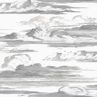 Bristol Cielo Wallpaper