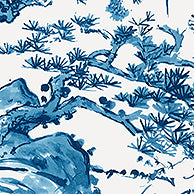 Nara Kyoto Wallpaper