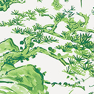 Nara Kyoto Wallpaper