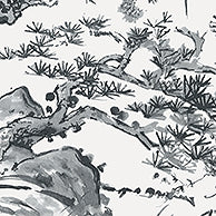 Nara Kyoto Wallpaper