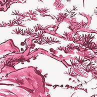 Nara Kyoto Wallpaper