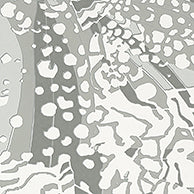 Nara Puccini Wallpaper