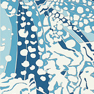 Nara Puccini Wallpaper