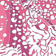 Nara Puccini Wallpaper