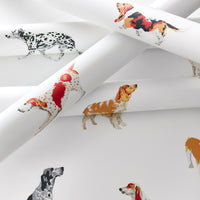 Devon Buddy Wallpaper