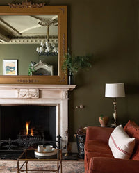 Farrow & Ball Dibber NO.312 🚚 Free Shipping! (NEW COLOUR)