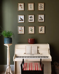 Farrow & Ball Dibber NO.312 🚚 Free Shipping! (NEW COLOUR)