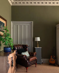 Farrow & Ball Dibber NO.312 🚚 Free Shipping! (NEW COLOUR)