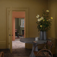 Farrow & Ball Duster NO.319 🚚 Free Shipping! (NEW COLOUR)