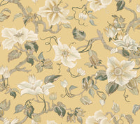 Marguerite Vine Wallpaper