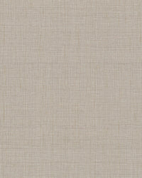 Amari High Performance Wallpaper