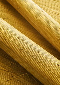 Grasscloth Resource 5 Raffia Palm Wallpaper (Double Roll)