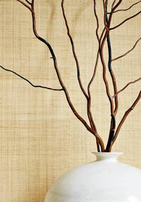 Grasscloth Resource 6 Carolina Raffia Wallpaper (Double Roll)