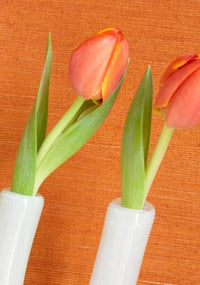 Grasscloth Resource 6 Shang Extra Fine Sisal Wallpaper