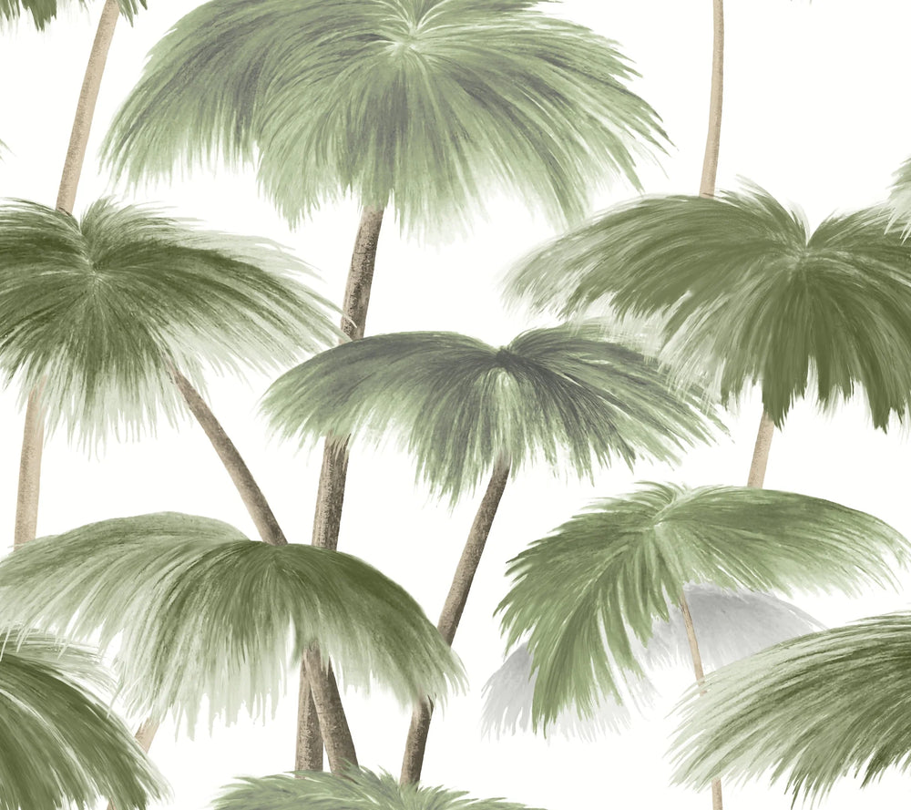 Plein Air Palms Wallpaper (Double Roll)