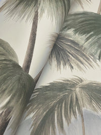 Plein Air Palms Wallpaper (Double Roll)