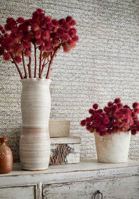 Natural Resource 3  Pima Braid Wallpaper (Double Roll)