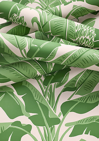 Palm Grove Banana Tree Wallpaper (Double Roll)