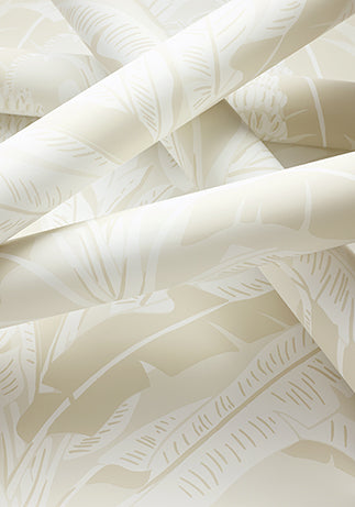 Palm Grove Banana Tree Wallpaper (Double Roll)