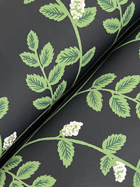 Climbing Vine Wallpaper