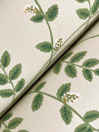 Climbing Vine Wallpaper