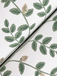 Climbing Vine Wallpaper