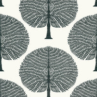 Ceylon Mulberry Tree Wallpaper (Double Roll)