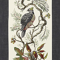 Heritage Williamson Wallpaper