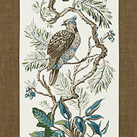 Heritage Williamson Wallpaper