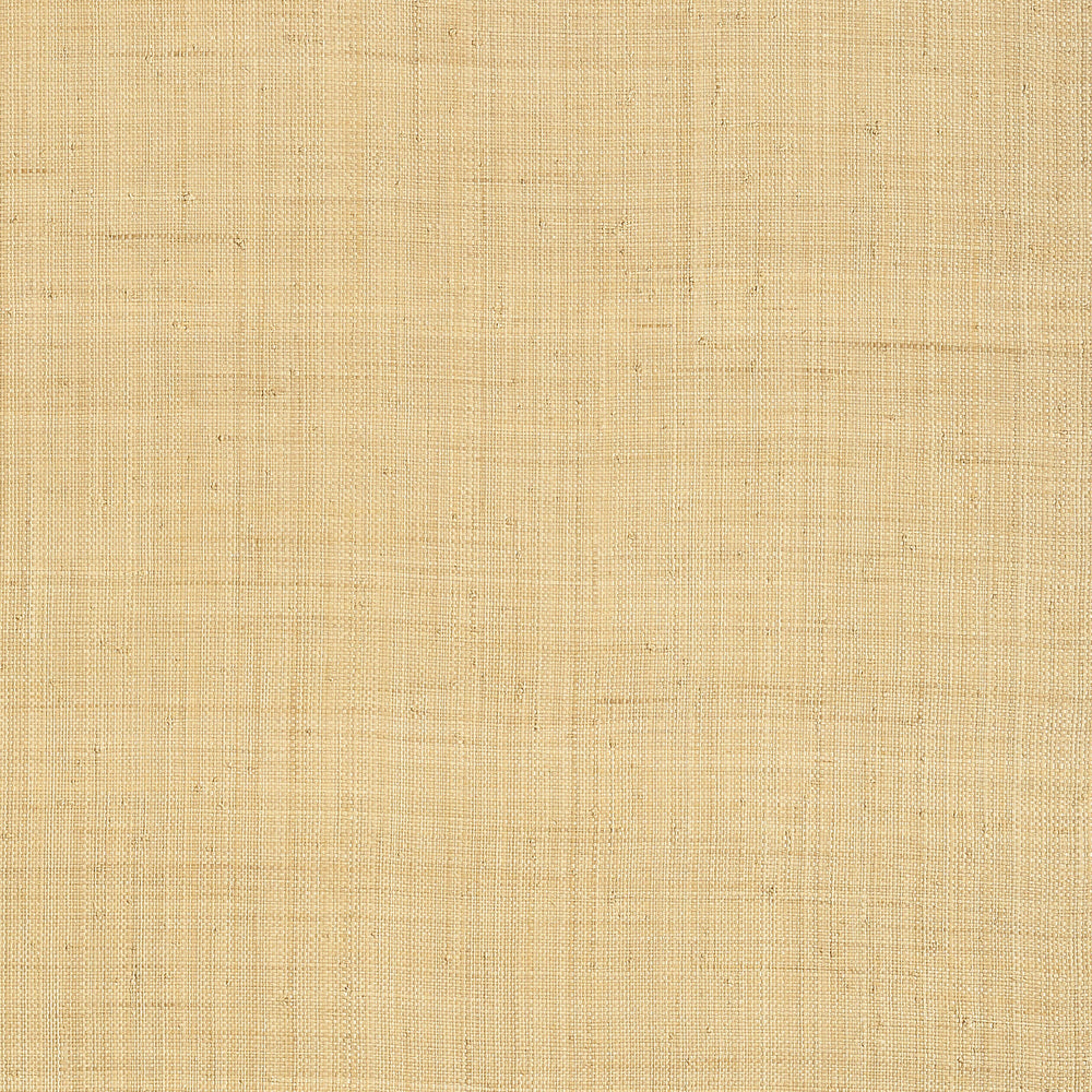 Grasscloth Resource 6 Carolina Raffia Wallpaper (Double Roll)
