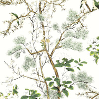 Thibaut Grand Palace Katsura Wallpaper (Double Roll)